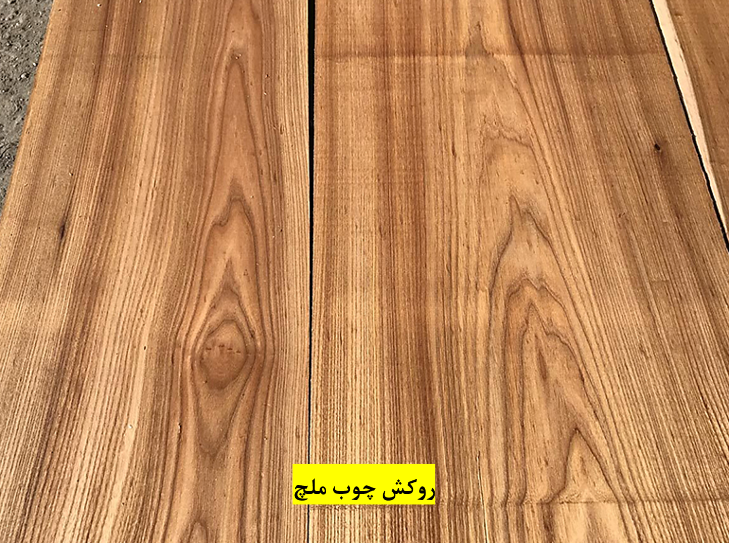 ورق چوب روکش ملچ ج