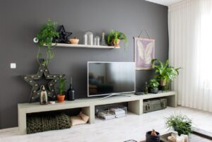 استفاده از گل و گیاه در طراحی تی وی روم غیر رسمی
