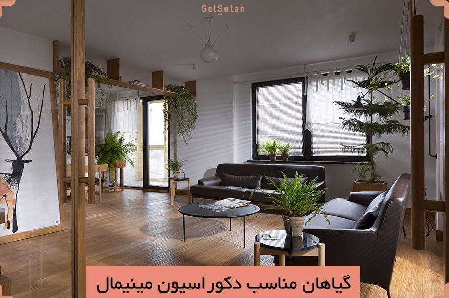 بازسازی مینیمال