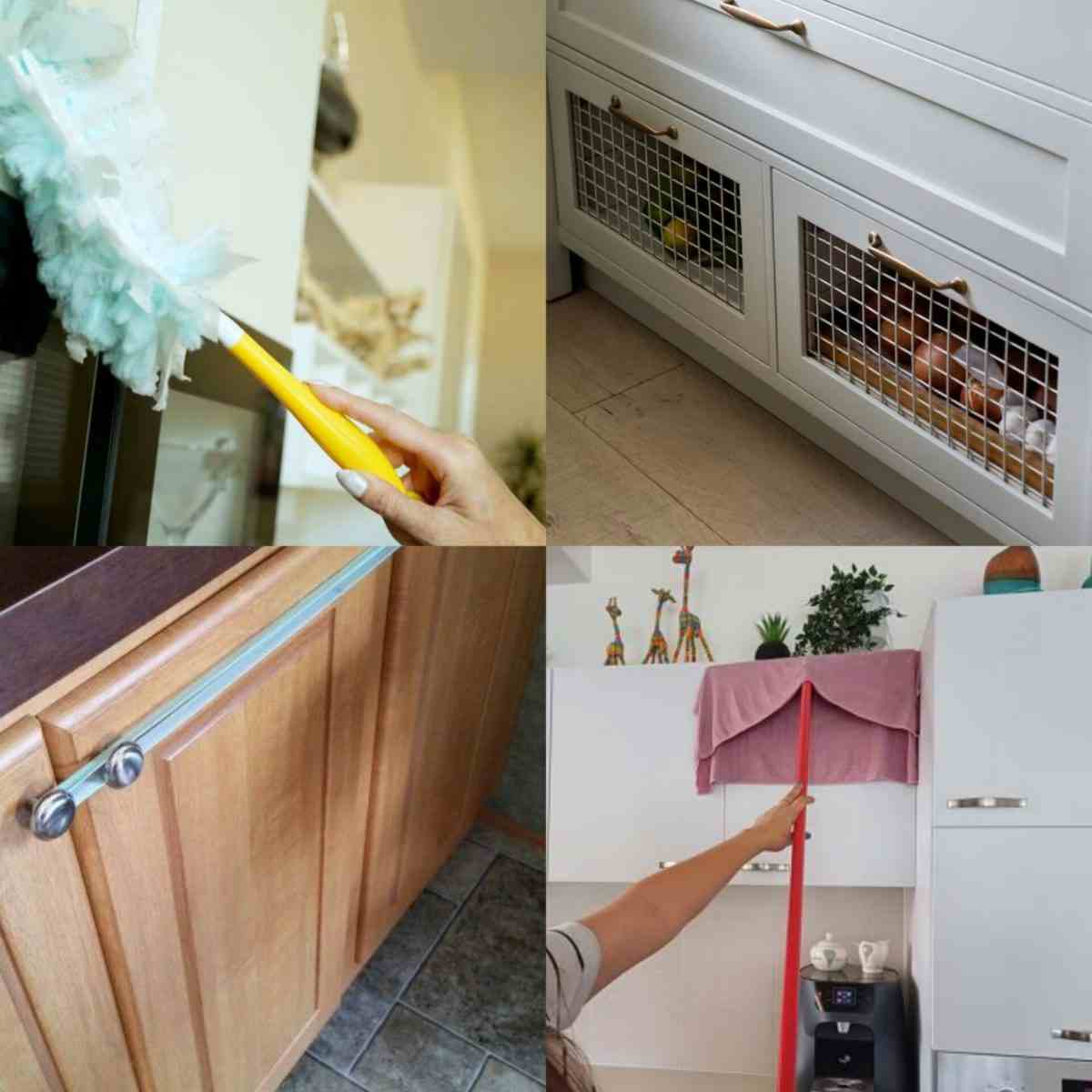 چشمتون روز بد نبینه: درب کشویکابینت رو بازکردم و با این صحنه غمانگیز روبرو شدم...